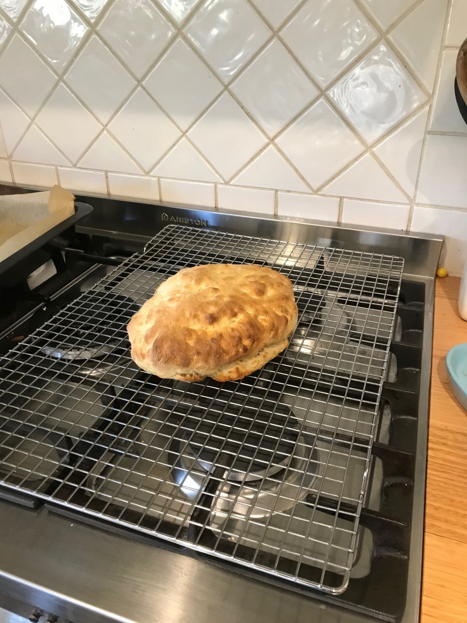 /uploaded_files/media/gallery/1599192612Maddy Woodman - Damper postoven- August.jpg